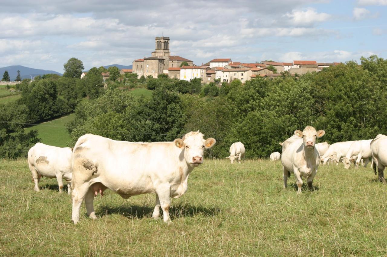 La Paresse En Douce Bed & Breakfast Tours-Sur-Meymont Bagian luar foto